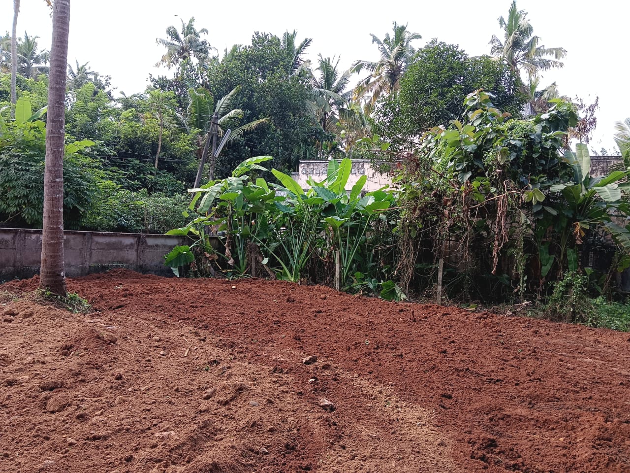Plot For Sale in Chiyyaram