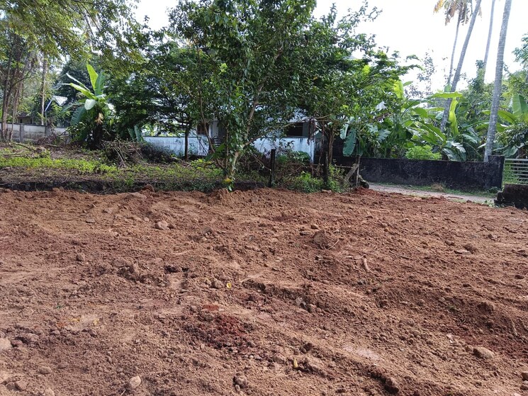 undefined, chiyyaram  3484 Sq.Ft. Plot In Chiyyaram Thrissur 9136650