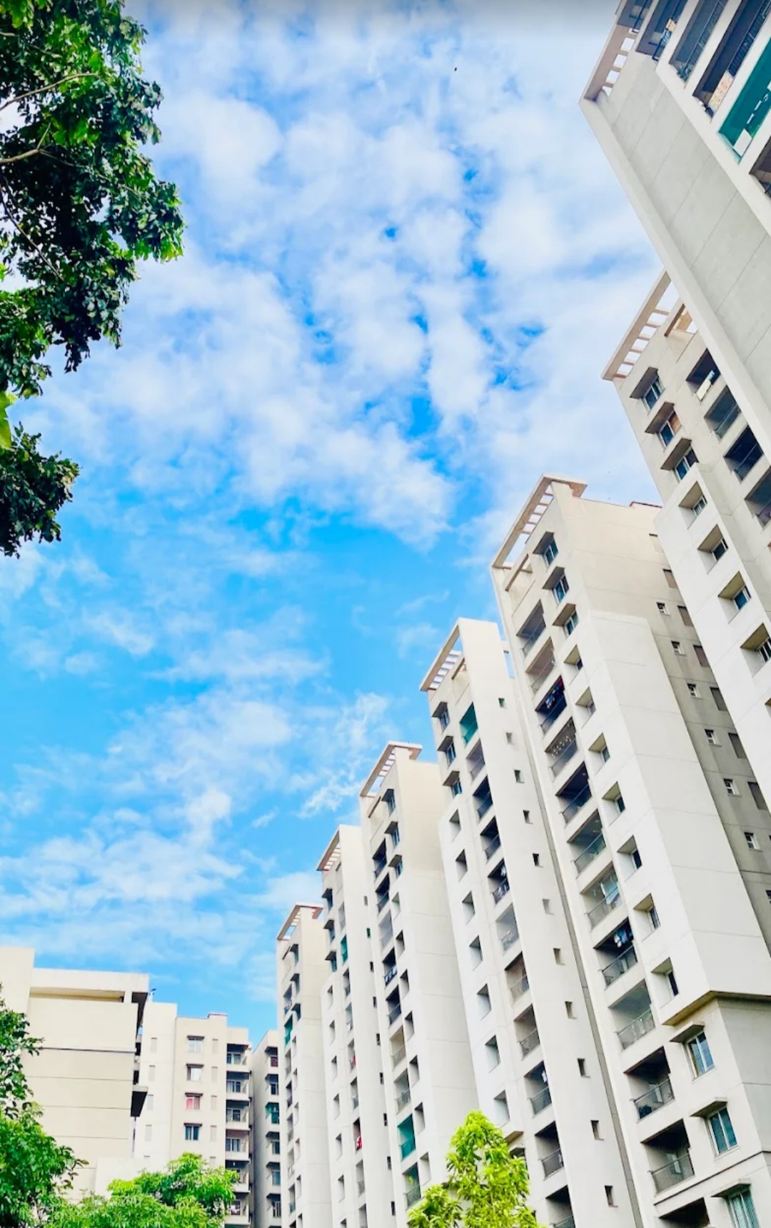 3 BHK Apartment For Rent in Sobha Habitech