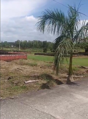  Plot For Sale in Biharigarh