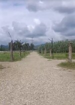 4500 Sq.Ft. Plot in Biharigarh