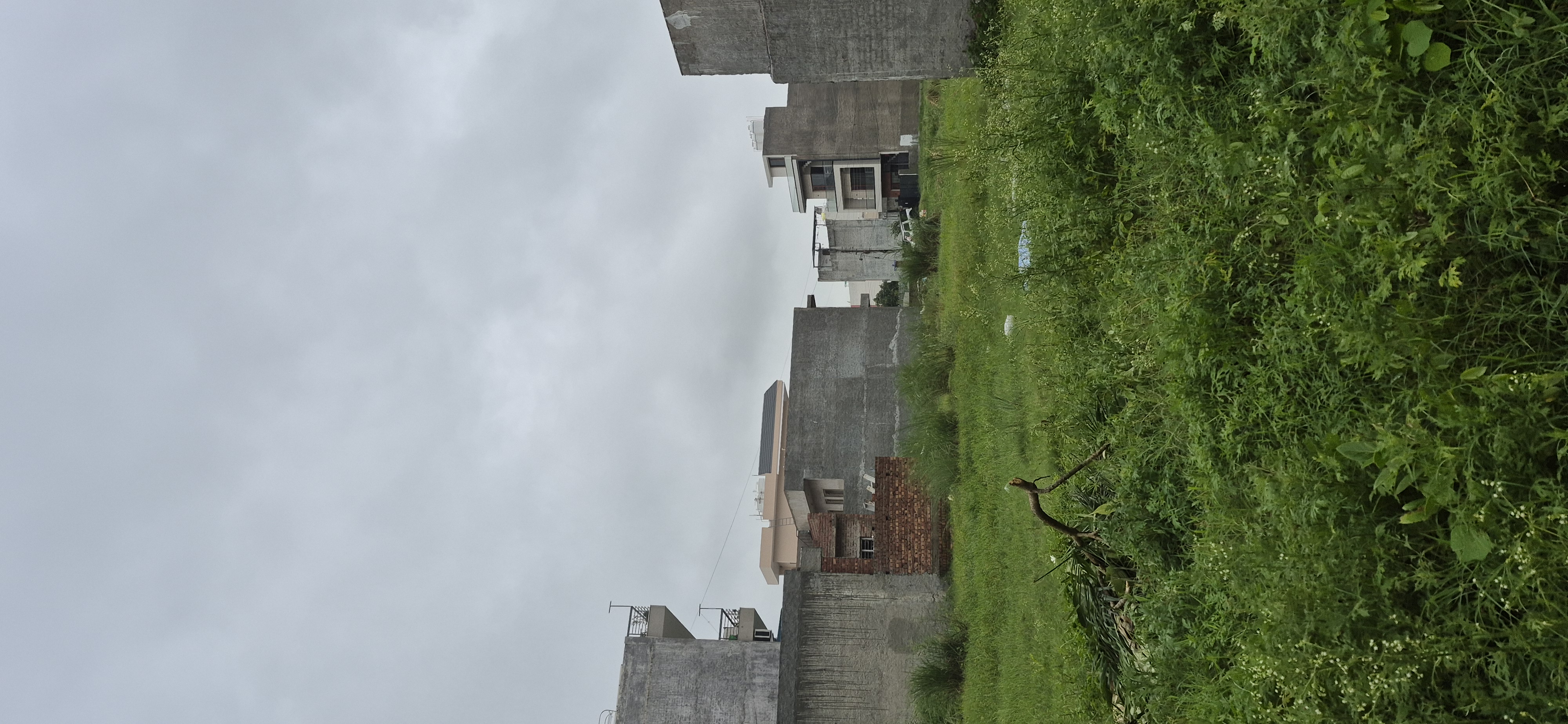 Plot For Sale in Sector 66