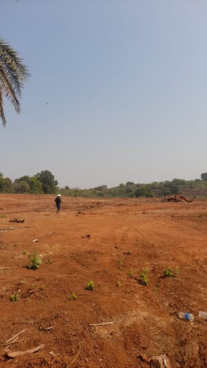  Plot For Sale in Alibag