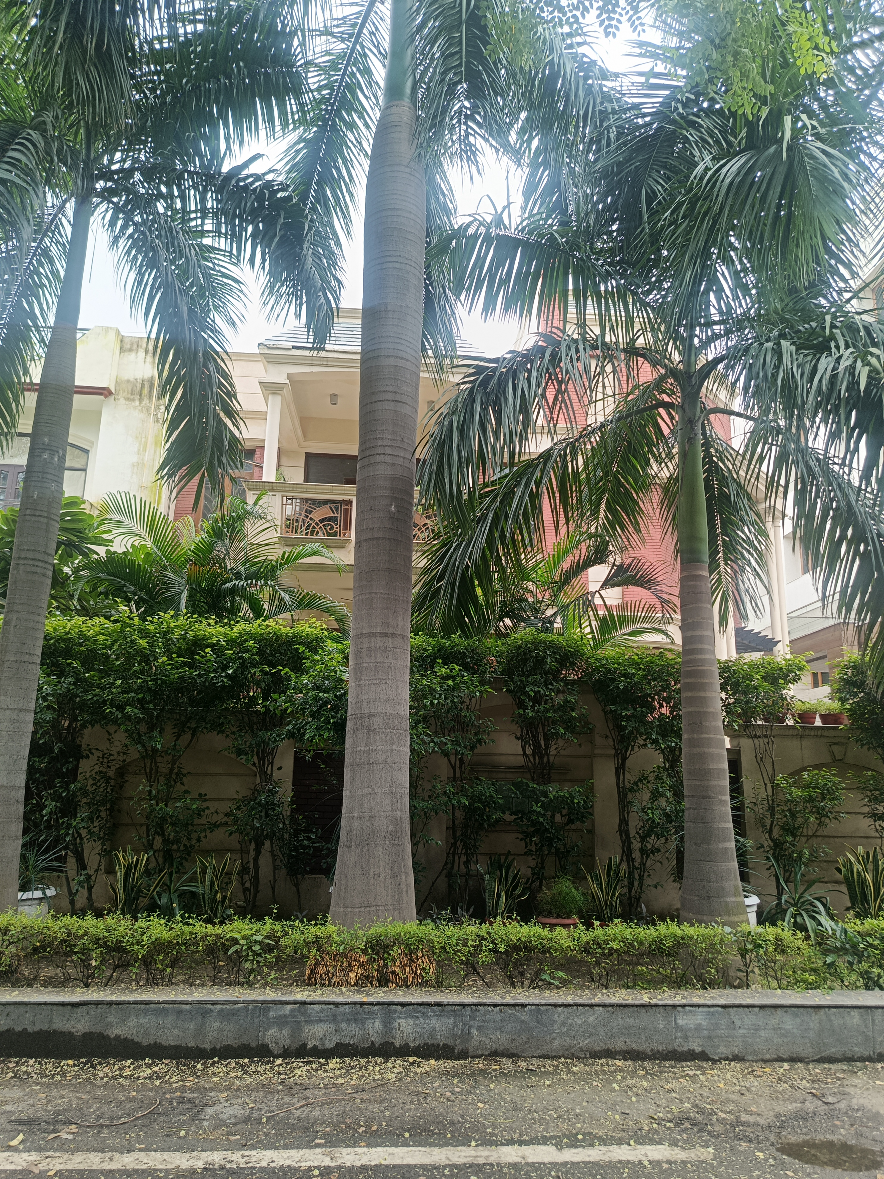 3 BHK + Pooja Room Villa For Rent in Sector 50