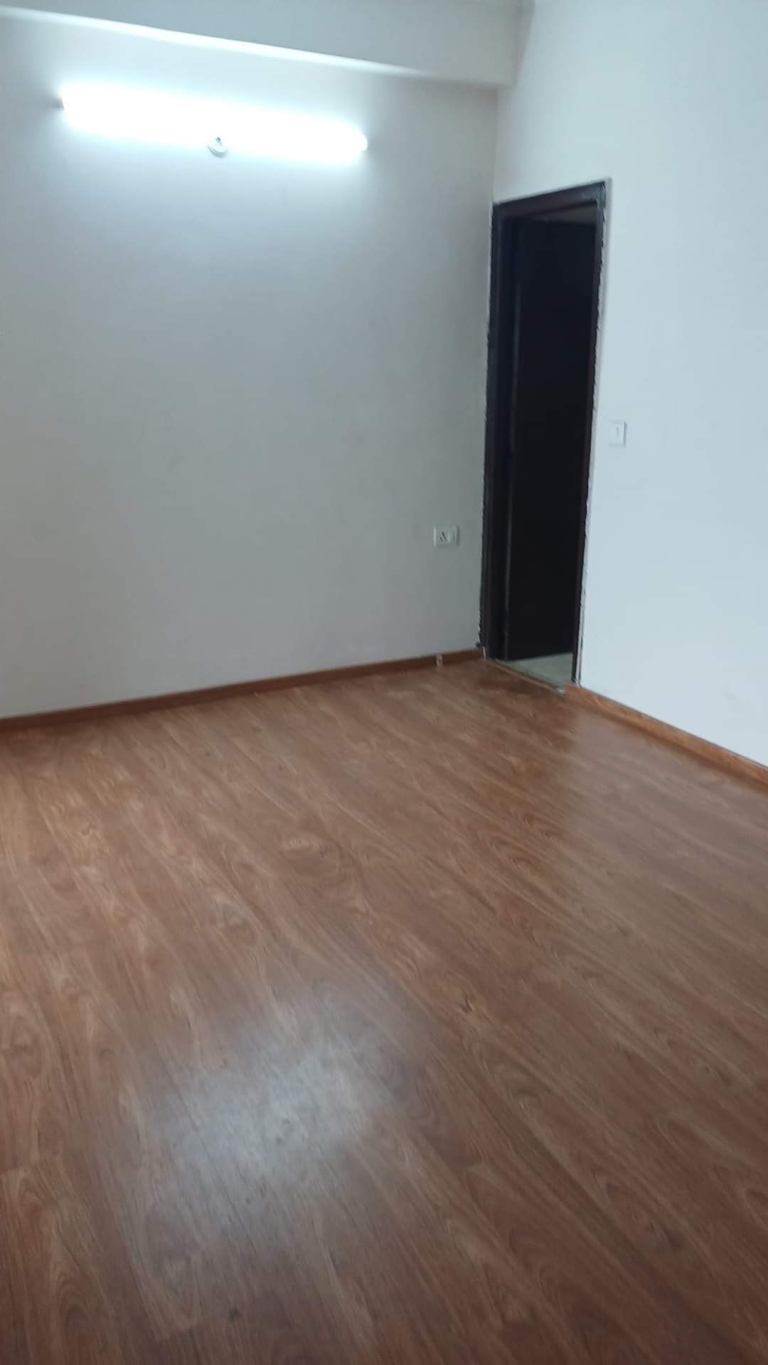 2.5 BHK Apartment For Rent in Amrapali Golf Homes