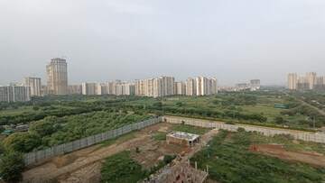 Plot Area in 3 BHK Apartment at Sethi Max Royal, Sector 76 – for Rent