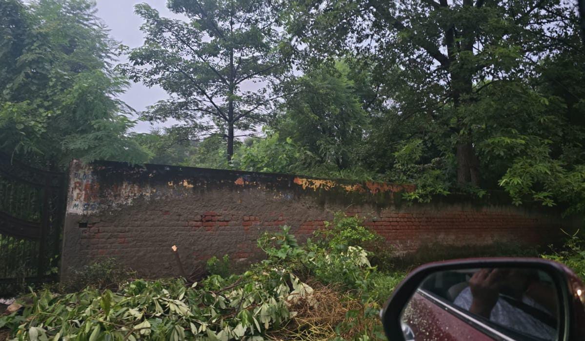 Plot For Sale in Sector 45