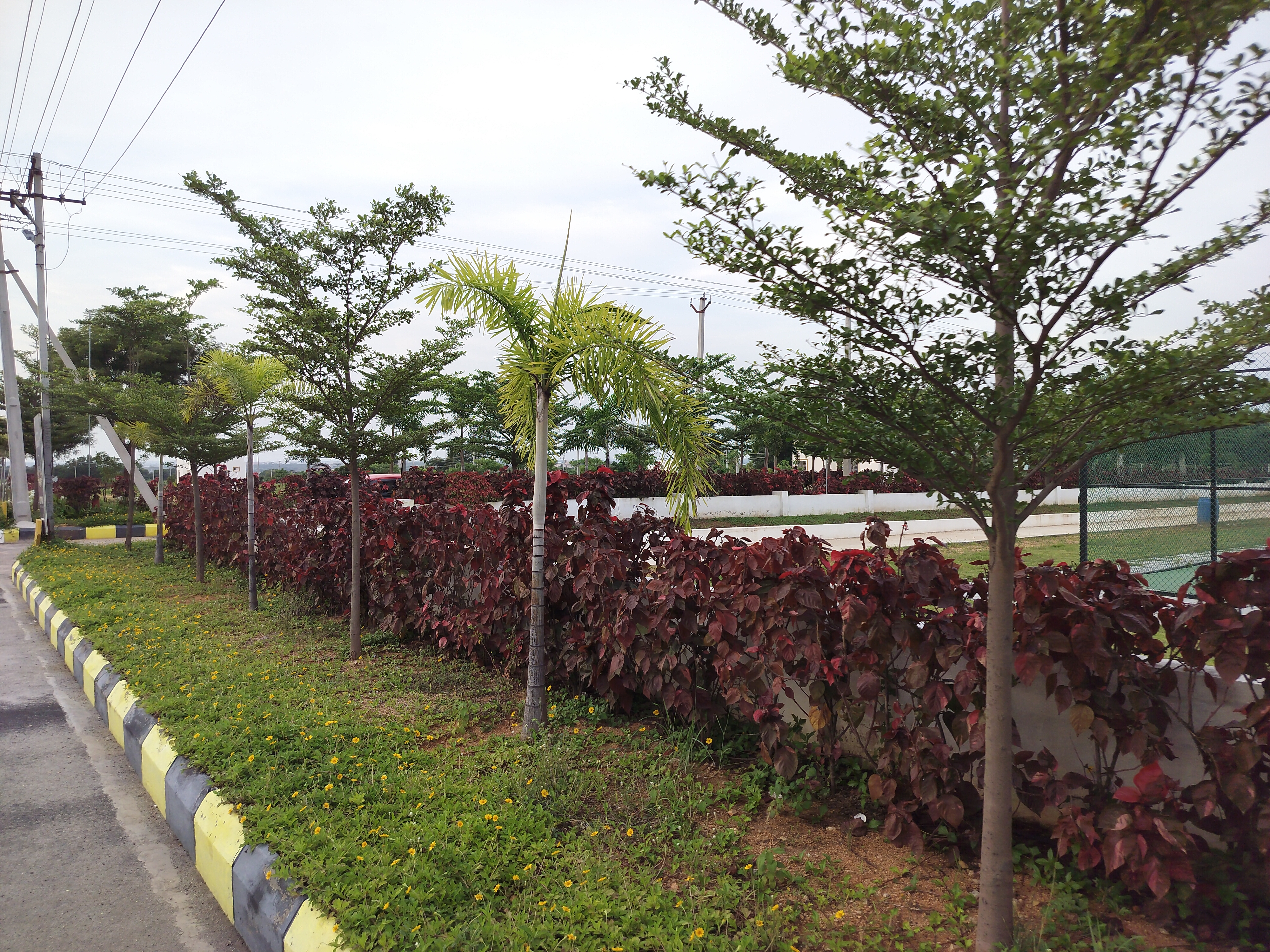 Plot For Sale in Iconia Balanagar Shadnaga