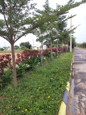  Plot – Garden View at Shadnagar - for Sale