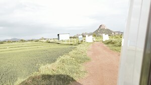  Plot For Sale in Shadnagar