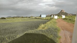 Plot Area in  Plot at Shadnagar – for Sale