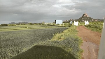 Plot Area in  Plot at Shadnagar – for Sale