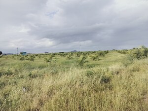 Plot Area in  Plot at Shadnagar – for Sale