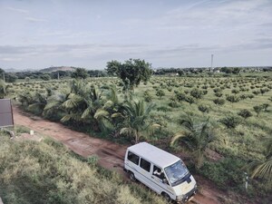 Plot Area in  Plot at Shadnagar – for Sale