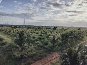 Plot Area in  Plot at Shadnagar – for Sale