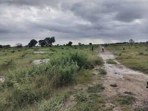 Plot Area in  Plot at Shadnagar – for Sale