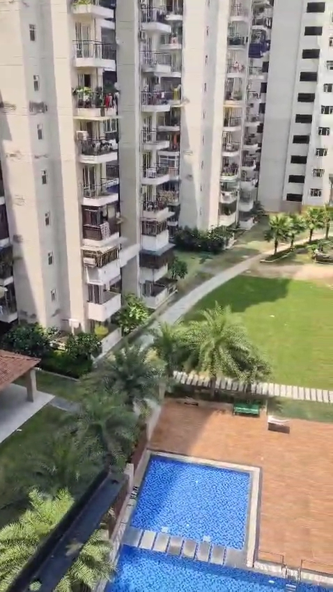 2 BHK Apartment For Rent in MCC Signature Heights
