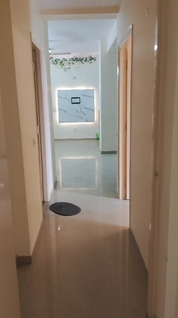 2.5 BHK Apartment For Rent in MCC Signature Heights, Raj Nagar Extension