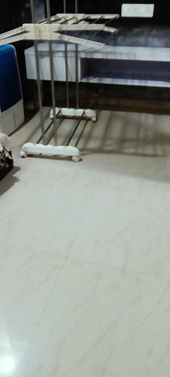 1 BHK Apartment For Rent in Tej One