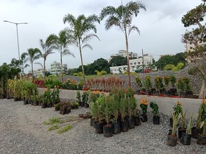  Plot – Exterior View View at Punadipadu - for Sale