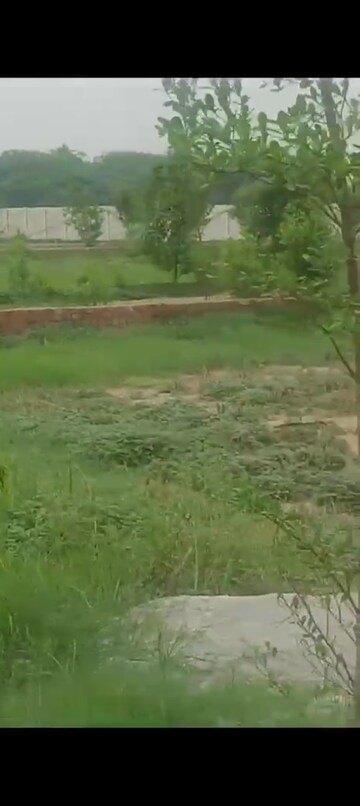 Plot Area in  Plot at Shahpura – for Sale