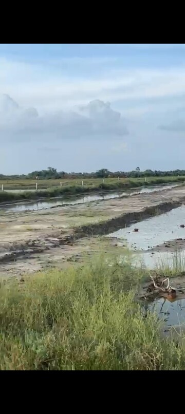 Plot Area in  Plot at Shahpura – for Sale