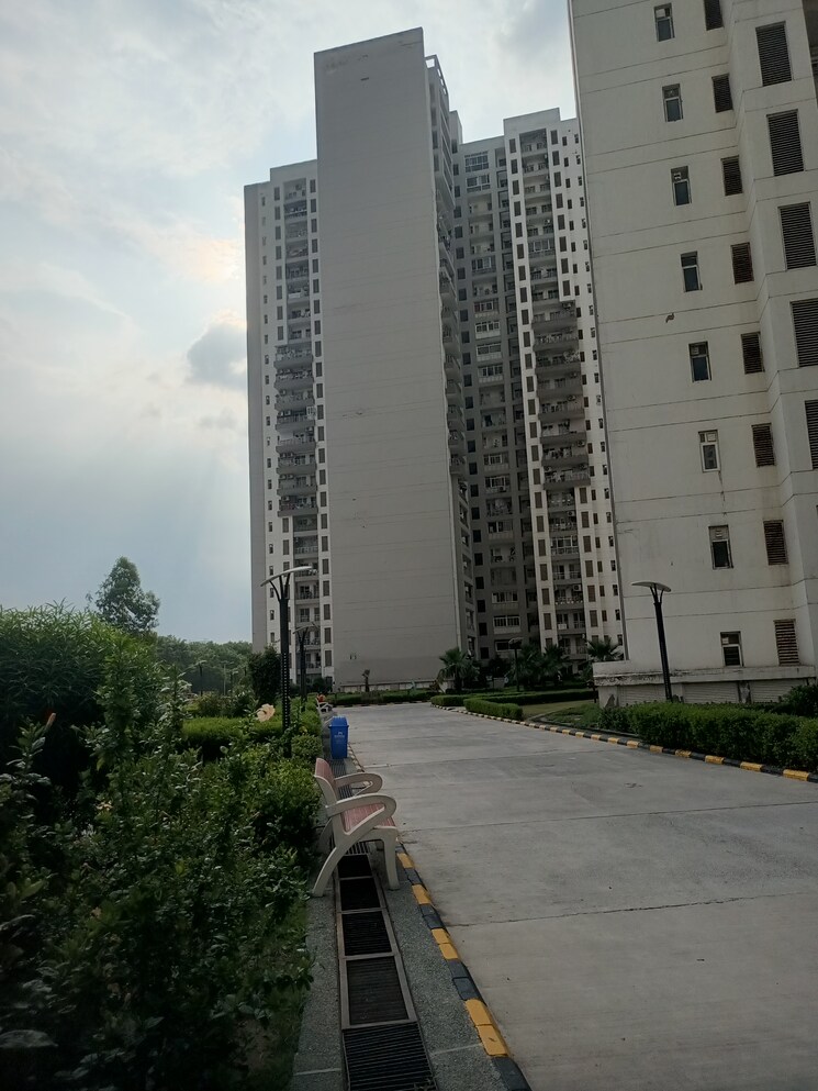 Exterior View, the-3c-lotus-panache 4 Bedroom 2794 Sq.Ft. Apartment In Sector 110 Noida 9138303