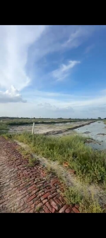 Plot Area in  Land at Shahpura – for Sale