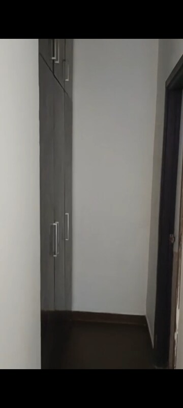 3 BHK Apartment For Rent in Jaypee Kensington Heights, Sector 133