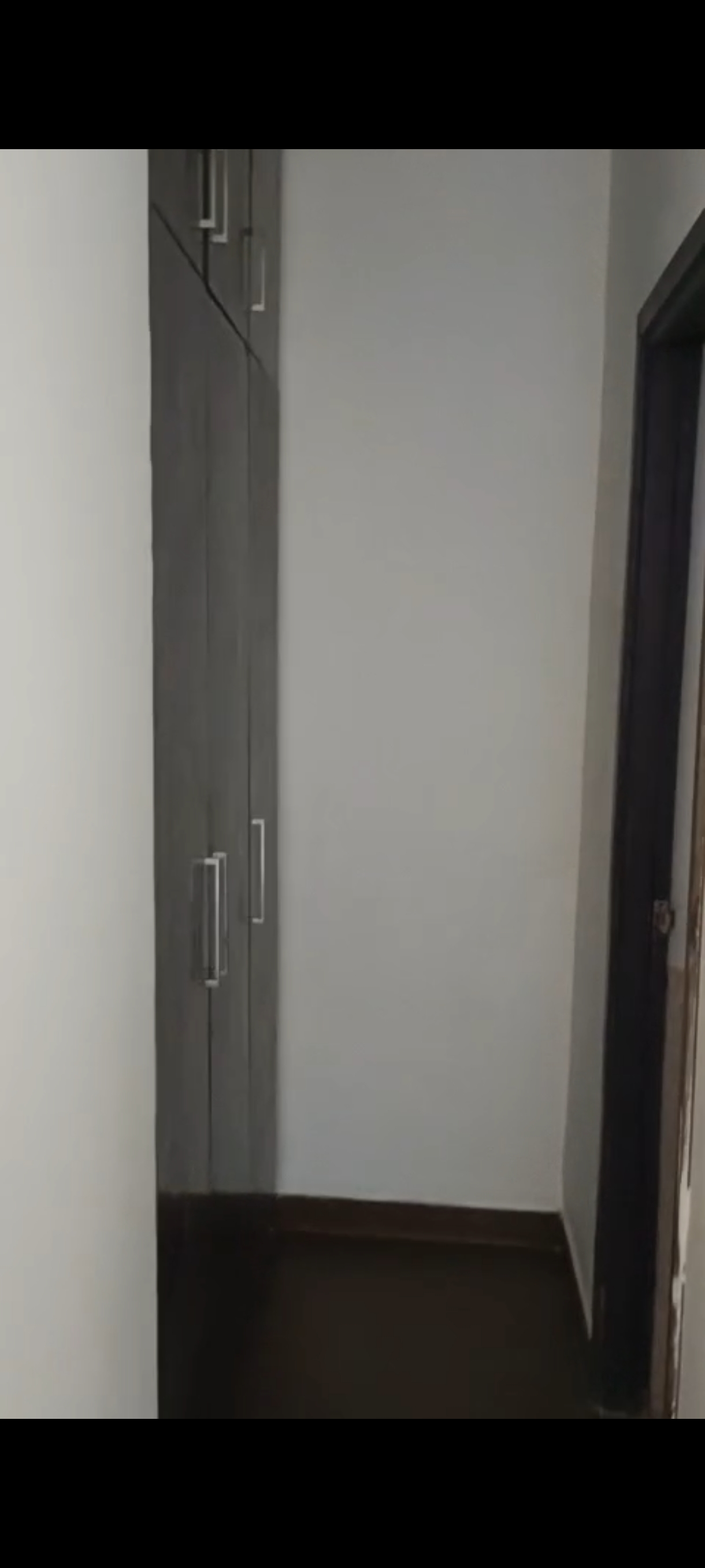 3 BHK + Servant Room Apartment For Rent in Jaypee Kensington Heights