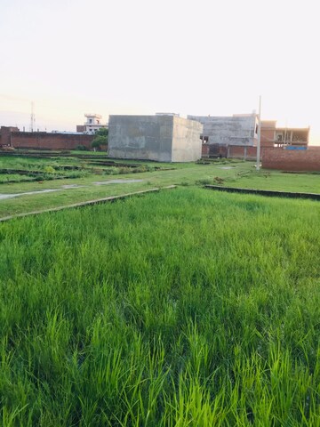 Plot Area in  Plot at Ramnagar – for Sale