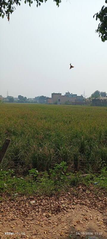Plot Area in  Plot at Vrindavan RWA, Gt Road – for Sale