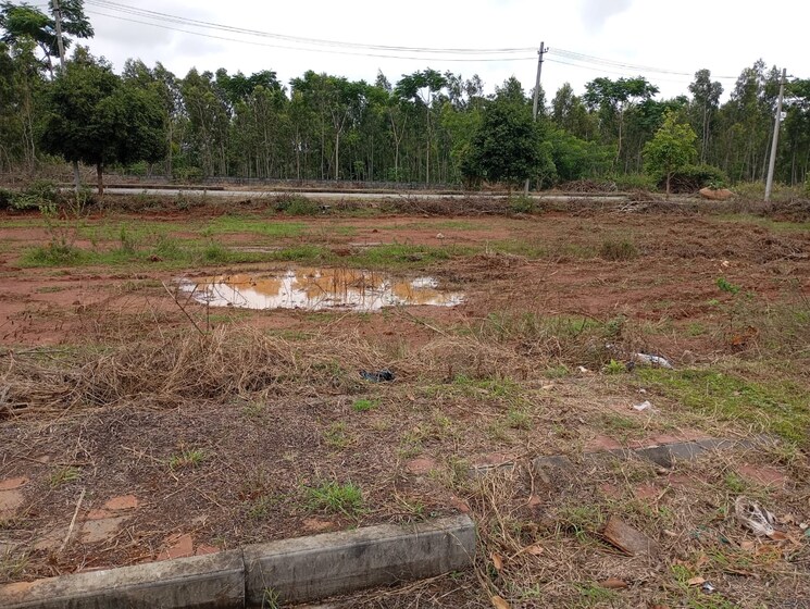 undefined, sri-green-acres  1500 Sq.Yd. Plot In Byagadadenahalli Bangalore 9138836