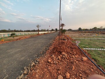 Plot Area in  Plot at Barela Road – for Sale