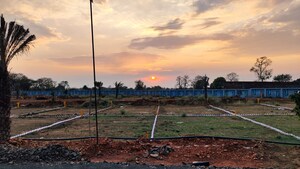 Plot Area in  Plot at Barela Road – for Sale