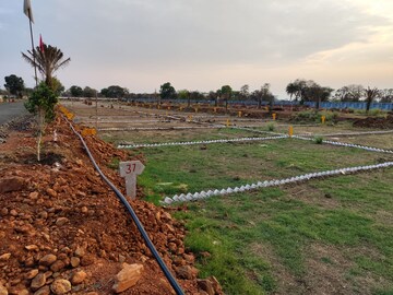 Plot Area in  Plot at Barela Road – for Sale