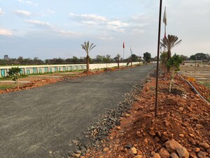 Plot Area in  Plot at Barela Road – for Sale