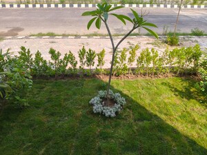 2.5 BHK Builder Floor – Garden View at Wave City, Wave City - for Sale