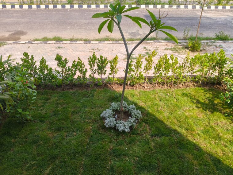 Garden, wave-city 2.5 Bedroom 1355 Sq.Ft. Builder Floor In Wave City Ghaziabad 9139070