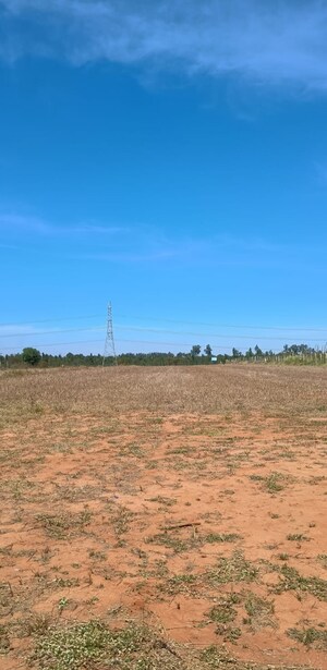  Plot For Sale in Marasandra