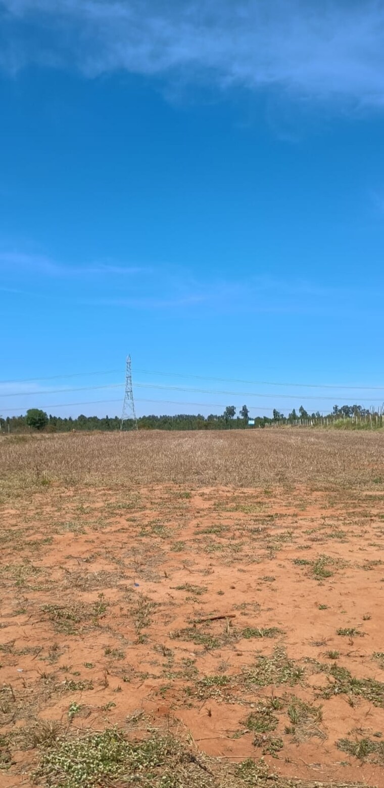 undefined, marasandra  1200 Sq.Ft. Plot In Marasandra Bangalore 9139327