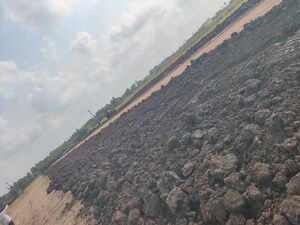 Plot Area in  Plot at Pamarru – for Sale