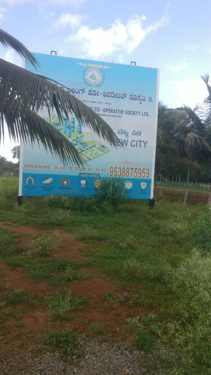 Plot For Sale in Rajanukunte