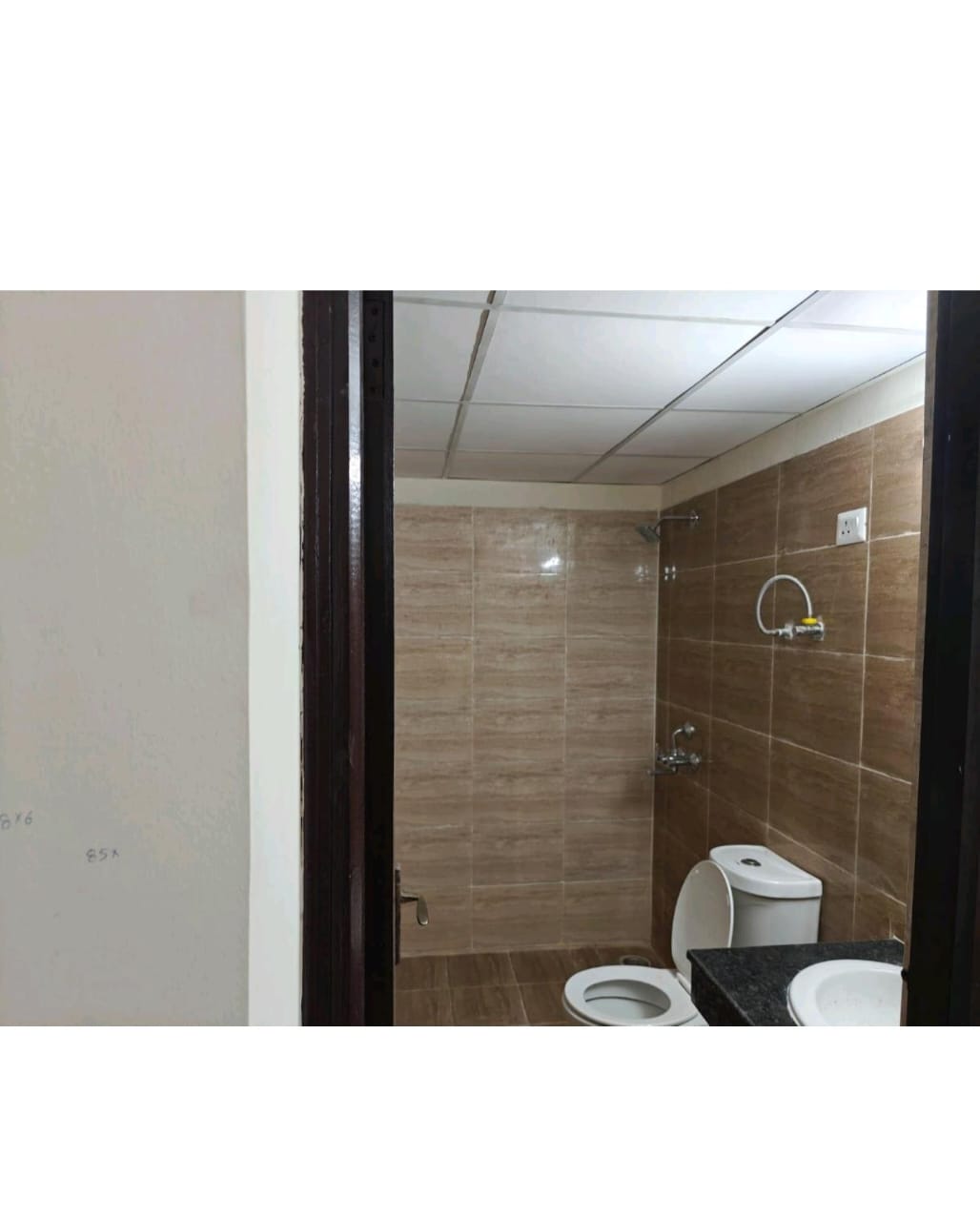 3 BHK Apartment For Rent in Amrapali Crystal Homes