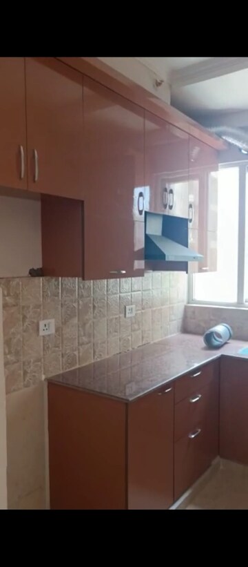 Kitchen in 2.5 BHK Apartment at Amrapali Golf Homes, Sector 4 Greater Noida – for Rent