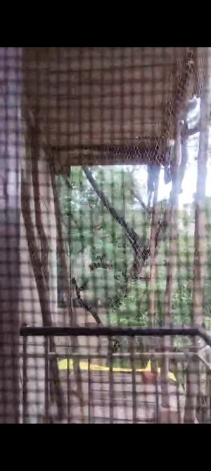 Balcony in 3.5 BHK Apartment at Vasant Kunj – for Sale