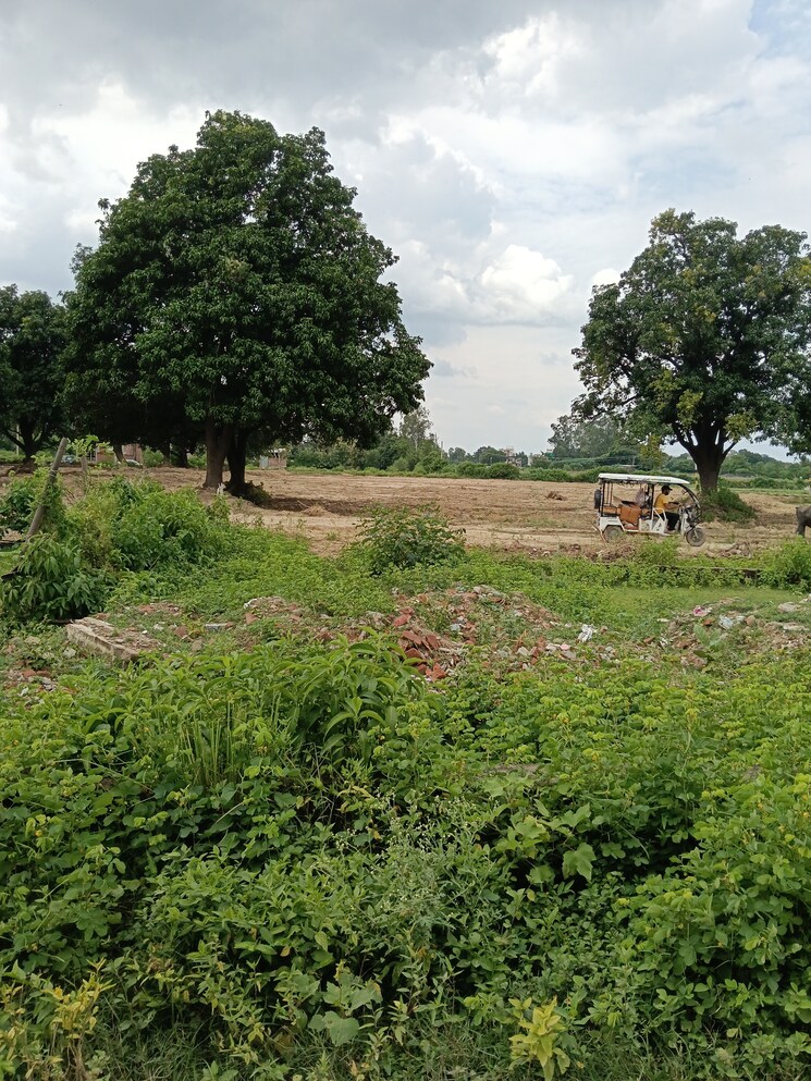 undefined, shri-balaji-bcc-greens  1000 Sq.Ft. Plot In Deva Road Lucknow 9140771