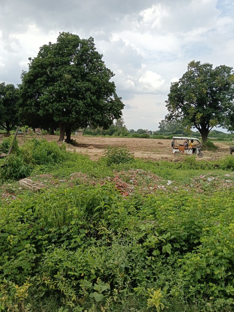 undefined, shri-balaji-bcc-greens  1000 Sq.Ft. Plot In Deva Road Lucknow 9140771