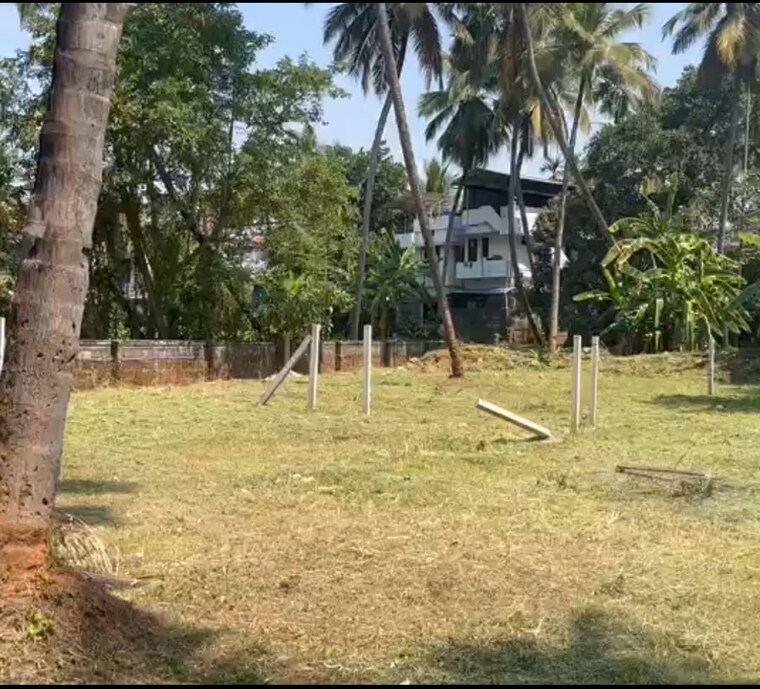 Garden, ayyanthole  8714 Sq.Ft. Plot In Ayyanthole Thrissur 9140803