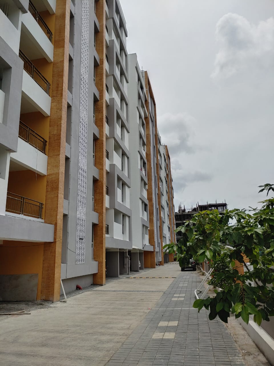 3 BHK + Servant Room Apartment For Rent in Blue 27th Avenue